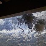 Cliquez sur la vignette pour obtenir l’agrandissement maximal.