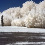 Cliquez sur la vignette pour obtenir l’agrandissement maximal.