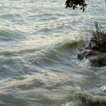 Cliquez sur la vignette pour obtenir l’agrandissement maximal.