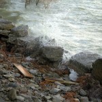 Cliquez sur la vignette pour obtenir l’agrandissement maximal.