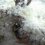 Cliquez sur la vignette pour obtenir l’agrandissement maximal.