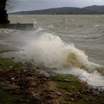 Cliquez sur la vignette pour obtenir l’agrandissement maximal.