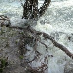 Cliquez sur la vignette pour obtenir l’agrandissement maximal.