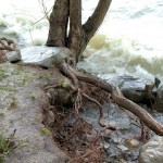 Cliquez sur la vignette pour obtenir l’agrandissement maximal.