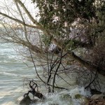 Cliquez sur la vignette pour obtenir l’agrandissement maximal.