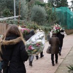 Clicca sulla miniatura per vedere l’ingrandimento massimo.