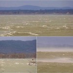 Cliquez sur la vignette pour obtenir l’agrandissement maximal.