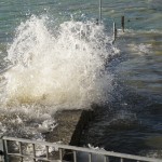 Cliquez sur la vignette pour obtenir l’agrandissement maximal.