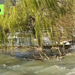 Cliquez sur la vignette pour obtenir l’agrandissement maximal.