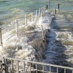 Cliquez sur la vignette pour obtenir l’agrandissement maximal.