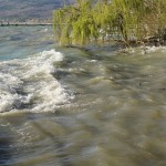 Cliquez sur la vignette pour obtenir l’agrandissement maximal.