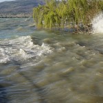 Cliquez sur la vignette pour obtenir l’agrandissement maximal.