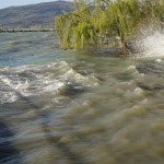 Cliquez sur la vignette pour obtenir l’agrandissement maximal.