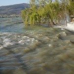 Cliquez sur la vignette pour obtenir l’agrandissement maximal.