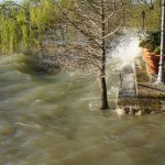 Cliquez sur la vignette pour obtenir l’agrandissement maximal.