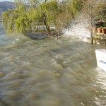 Cliquez sur la vignette pour obtenir l’agrandissement maximal.