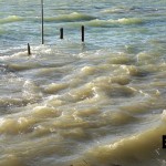 Cliquez sur la vignette pour obtenir l’agrandissement maximal.