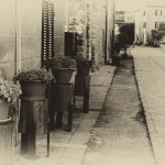 Cliquez sur la vignette pour obtenir l’agrandissement maximal.