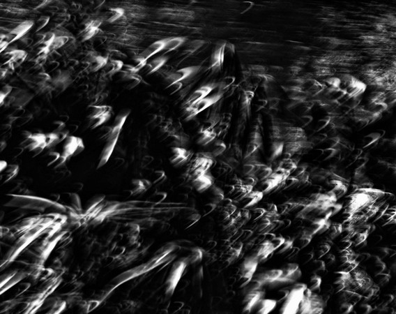 ISOLA MAGGIORE 140926 1304