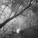 Cliquez sur la vignette pour obtenir l’agrandissement maximal.