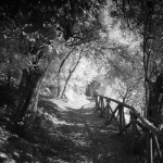 Cliquez sur la vignette pour obtenir l’agrandissement maximal.