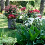 Cliquez sur la vignette pour obtenir l’agrandissement maximal.