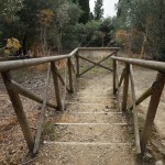 Cliquez sur la vignette pour obtenir l’agrandissement maximal.