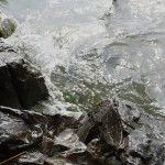 Cliquez sur la vignette pour obtenir l’agrandissement maximal.