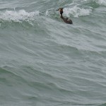 Cliquez sur la vignette pour obtenir l’agrandissement maximal.