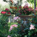 Cliquez sur la vignette pour obtenir l’agrandissement maximal.