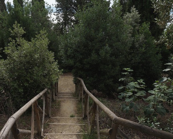 Escalier entre la via panoramica del Mulino et la viale Marchesa Isabella.Essai de composition 01. © Dinu Wilmotte