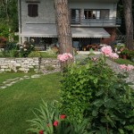 Cliquez sur la vignette pour obtenir l’agrandissement maximal.