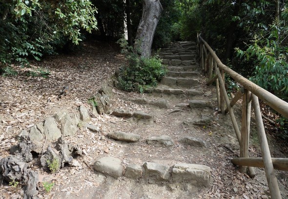 Escalier dans la strada di San Francesco. © Dinu Wilmotte