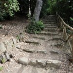 Cliquez sur la vignette pour obtenir l’agrandissement maximal.