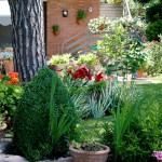 Cliquez sur la vignette pour obtenir l’agrandissement maximal.