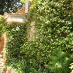 Cliquez sur la vignette pour obtenir l’agrandissement maximal.