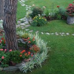 Cliquez sur la vignette pour obtenir l’agrandissement maximal.