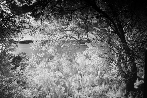 Bonne vue sur le lac Trasimène.Et végétation maintenant étincelante.