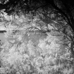 Cliquez sur la vignette pour obtenir l’agrandissement maximal.