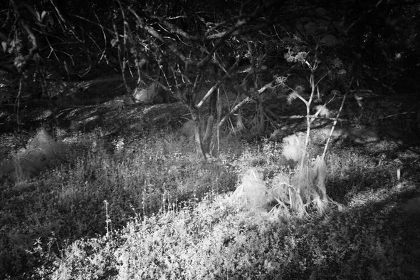 Percée de lumière...