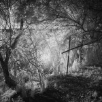 Cliquez sur la vignette pour obtenir l’agrandissement maximal.