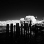 Cliquez sur la vignette pour obtenir l’agrandissement maximal.