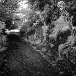 Cliquez sur la vignette pour obtenir l’agrandissement maximal.