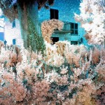 Cliquez sur la vignette pour obtenir l’agrandissement maximal.