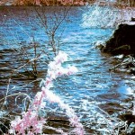 Cliquez sur la vignette pour obtenir l’agrandissement maximal.