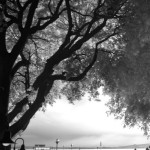 Cliquez sur la vignette pour obtenir l’agrandissement maximal.