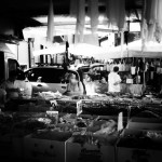 Cliquez sur la vignette pour obtenir l’agrandissement maximal.