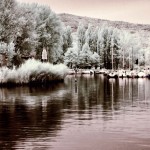 Cliquez sur la vignette pour obtenir l’agrandissement maximal.