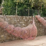 Cliquez sur la vignette pour obtenir l’agrandissement maximal.