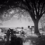 Cliquez sur la vignette pour obtenir l’agrandissement maximal.